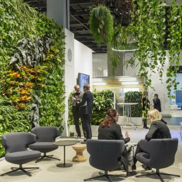 desk-plants-online-1jbd8i5gl86qizy9hyrct1a-office-the-green-wall-made-of-raw-presented-at-orgatec-feng-shui-for-low-light-outdoor-indoor-plant-hire-central-coast-design-that-thrive-in-1440x959